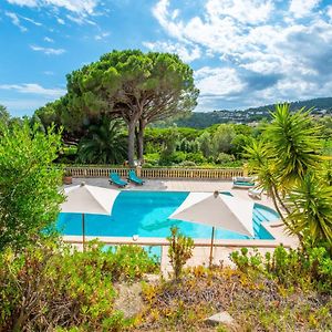 Paradis Provencal